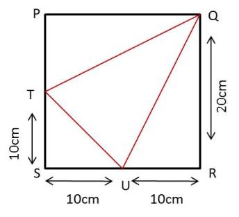 Perimeter and area,A 10,Ex 11.4,diagram(ii),NCERT,class 7