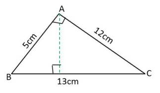 Perimeter and area,A 7,Ex 11.2,diagram,NCERT,class 7