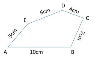 Perimeter and area,Q 1,practice sheet,diagram,NCERT,class 7