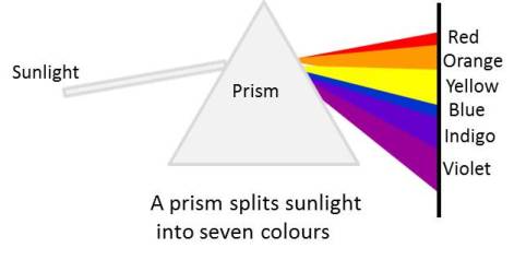 A Prism Splits Sunlight into Seven Colours of NCERT Chapter Light 