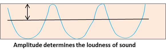 Amplitude determines the loudness of the sound of NCERT Chapter Sound 