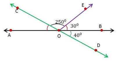 Lines and angles, A1, exercise 6.1, diagram, NCERT, class 9
