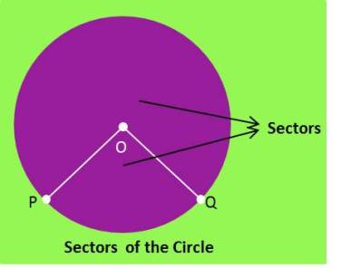 Sectors of the Circle of NCERT Chapter Circles