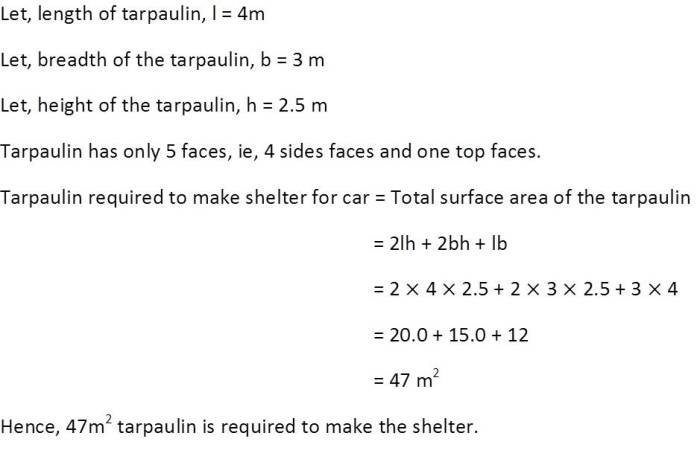 Surface areas and volumes, A8, exercise 13.1, NCERT, class 9