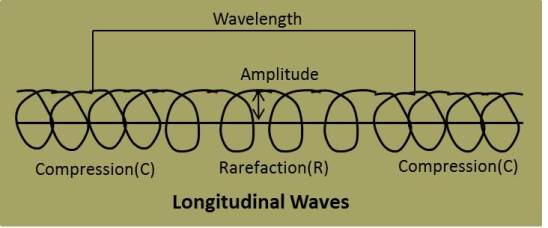 Longitudinal Waves of NCERT Chapter Sound 